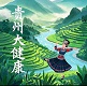 贵州大健康产业