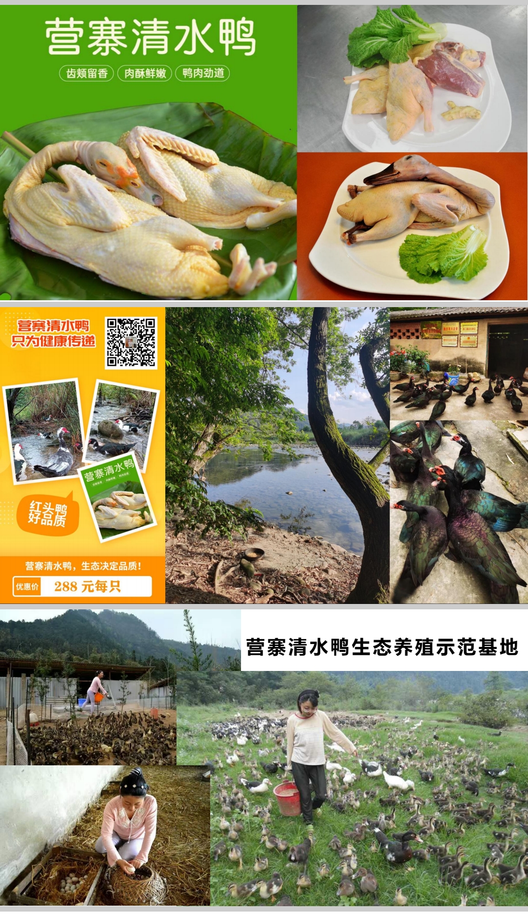 微信图片_20250215131658.jpg