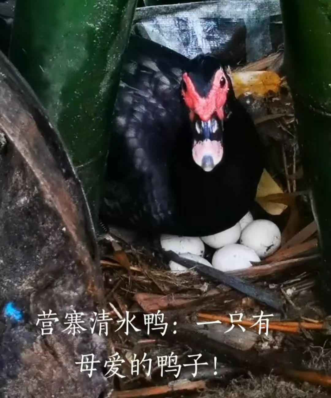 微信图片_20250217225932.jpg