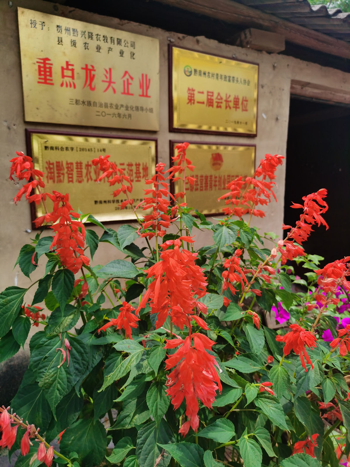 微信图片_20250318000604.jpg