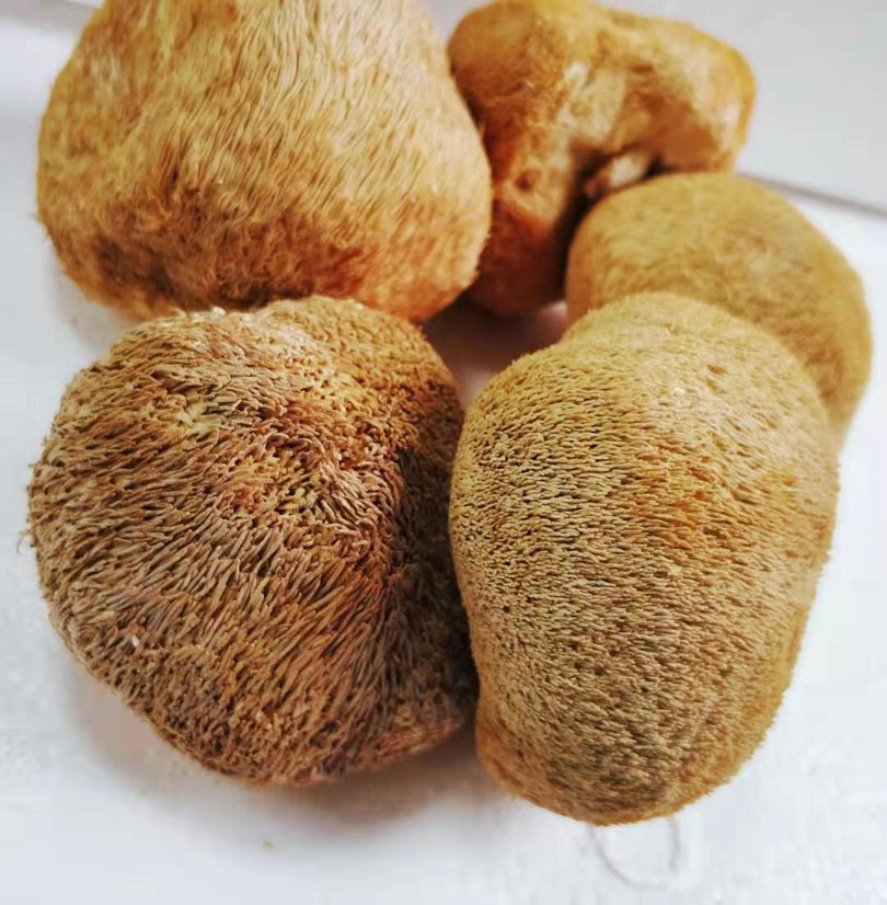 猴头菇 山野干货 肉质紧厚，口味鲜活
