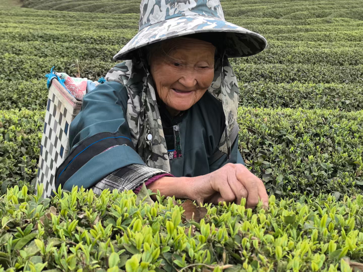 微信图片_20250328215638.jpg
