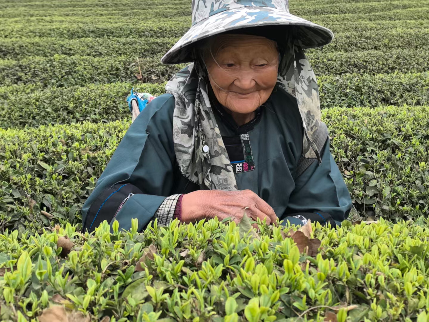 微信图片_20250328215702.jpg