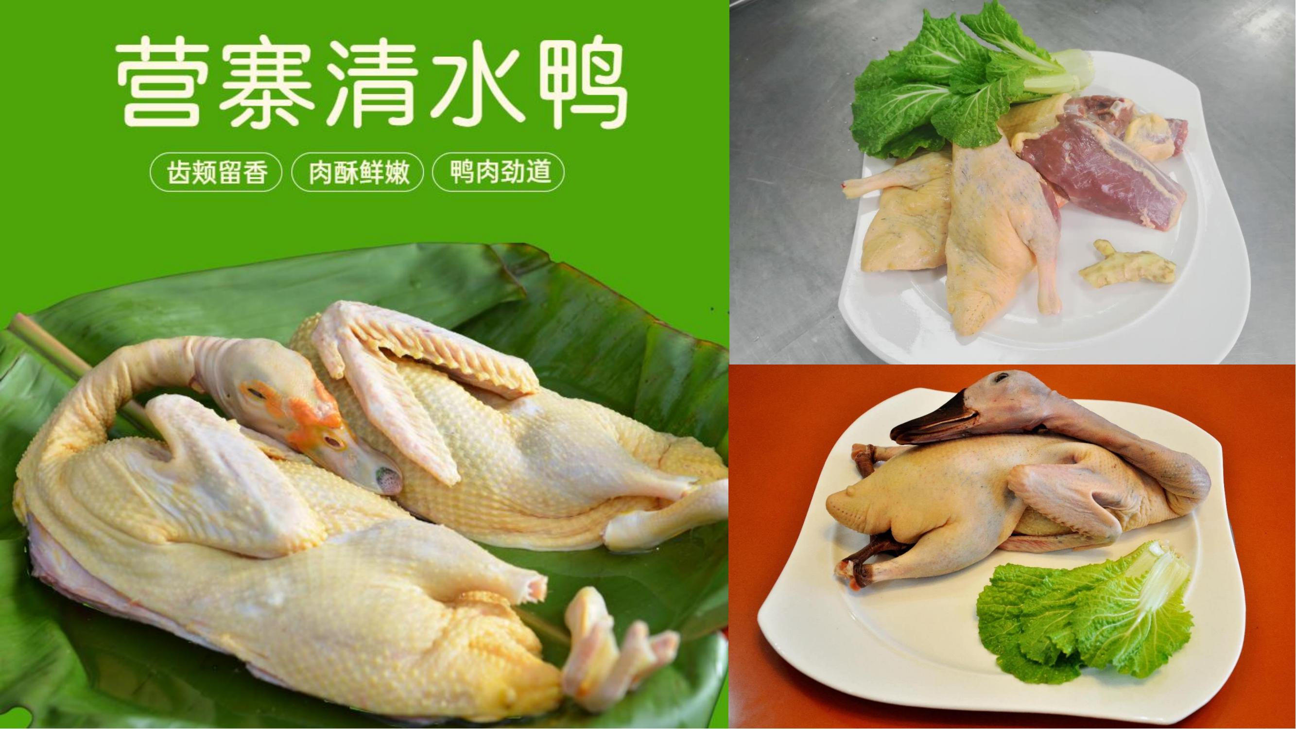 营寨清水鸭(养一辈子鸭，爱一个女人)(1)_21.jpg