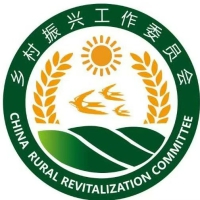 领导班子